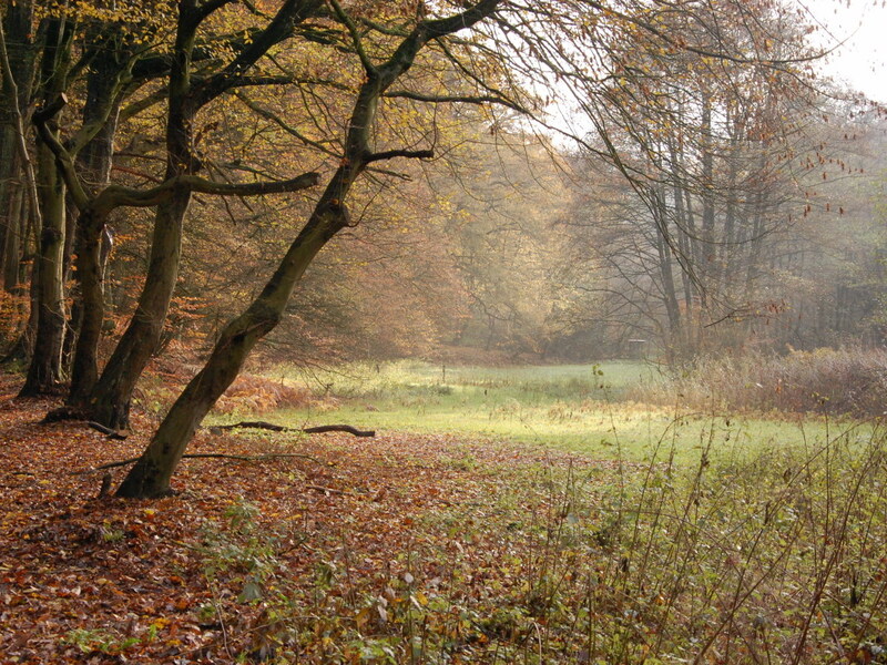 Die Entdeckung der Ruhrkohle