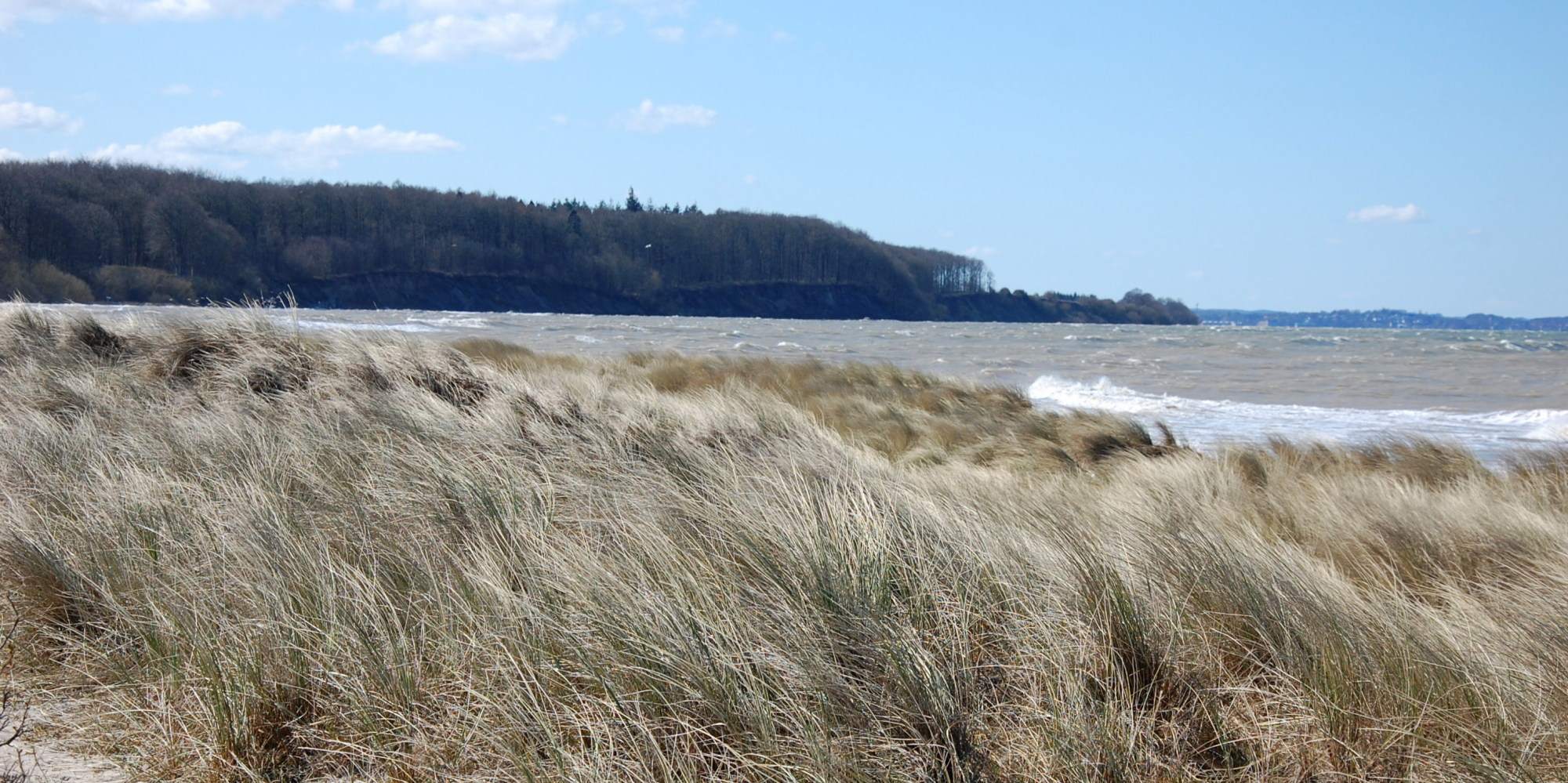 Düne bei Noer
