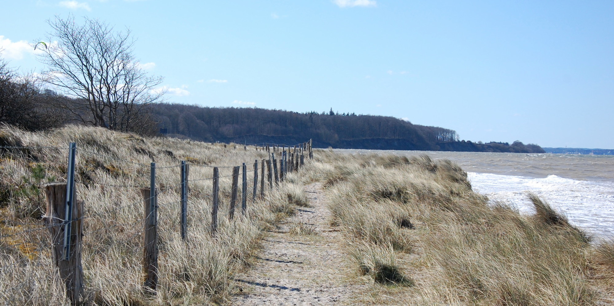 Düne bei Noer