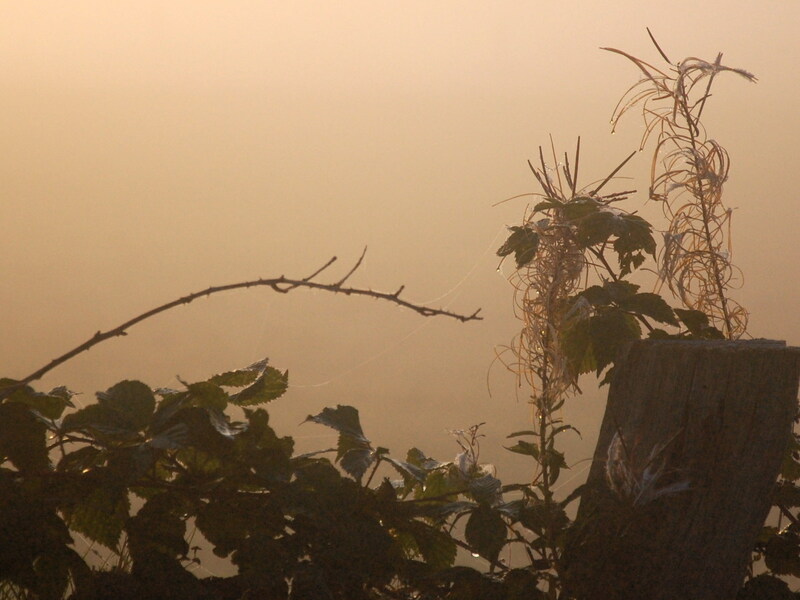 Herbststimmung