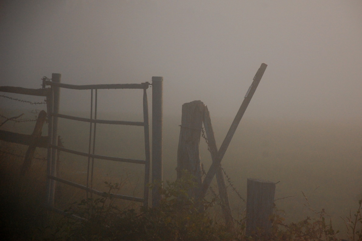 Herbststimmung