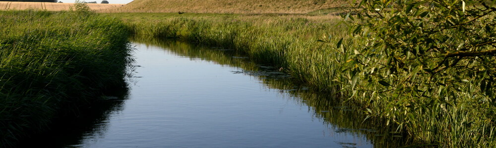 <span class="translation_missing" title="translation missing: de.picco_blog.posts.show.featured image">Featured Image</span>