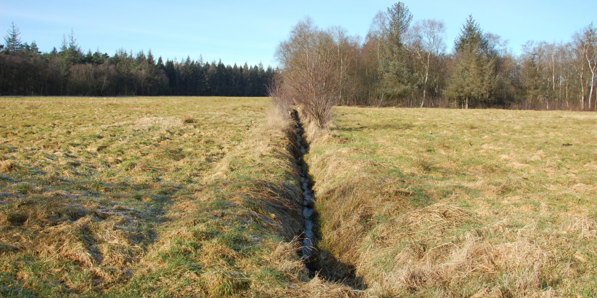 Moorgraben