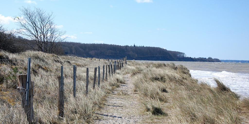 Düne bei Noer