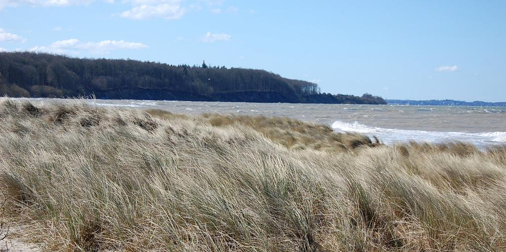 Düne bei Noer