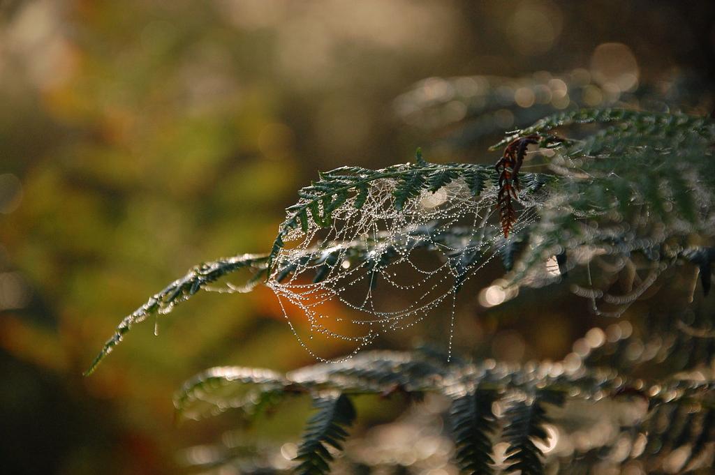 Herbststimmung
