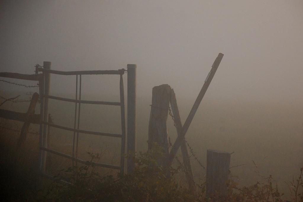 Herbststimmung