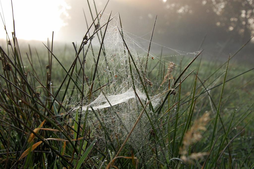 Herbststimmung